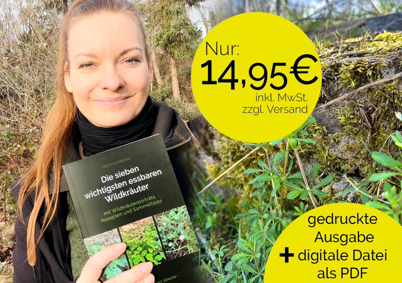 Celia Vildgroen Buch Wildkräuter