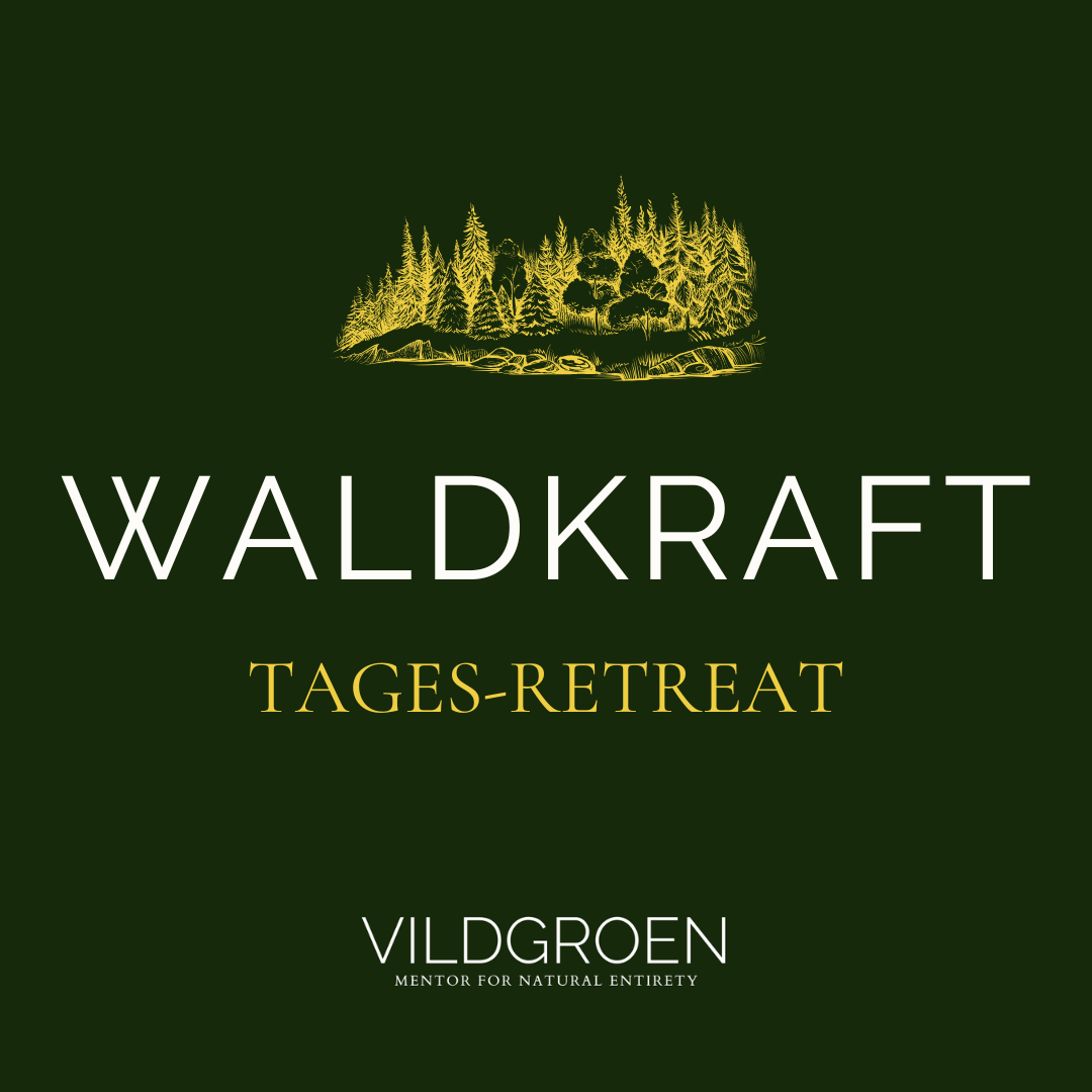 Wald Kraft Mentorin Vildgroen